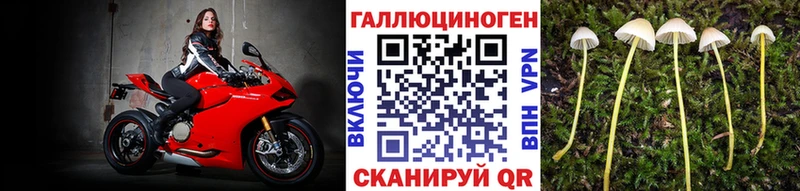 сколько стоит  Мантурово  Псилоцибиновые грибы Psilocybe 