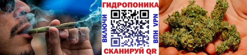 закладки  маркетплейс какой сайт  Бошки Шишки план  Мантурово 